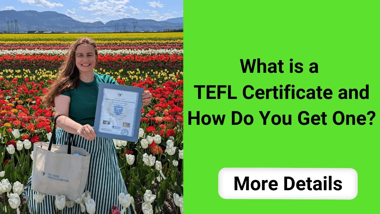 What Is a TEFL Certificate and How Do You Get One?